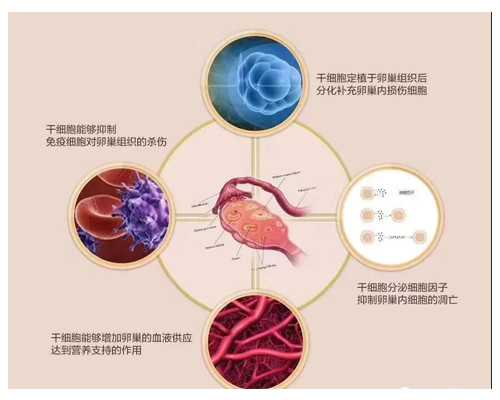 潍坊到香港验血查胎儿性别,基因检测报告怎么看?告诉你以后还敢去香港验血吗