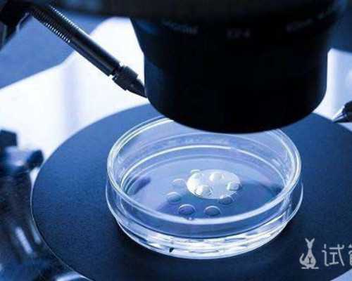 西安收古玩的地方,补肾的食物有哪些