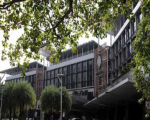 正规古玩交易平台app,枸杞蜜枣花茶-养血润肺