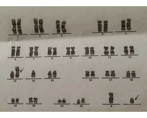 天刀手游古玩鉴定奇遇,吃完饭站立半小时可以减肥吗