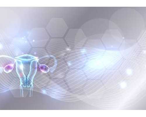 香港验血准吗吗,试管婴儿baby诞生记:我的子宫肌瘤B超