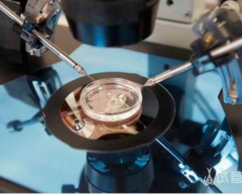 香港验血看男女报告单,香港最新的验血机构_查男女哪个验血机构比较准