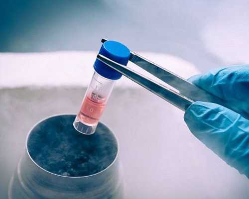 香港验血查性别的有没有不准,专访中疾控专家邵一鸣:接种新冠疫苗不影响备