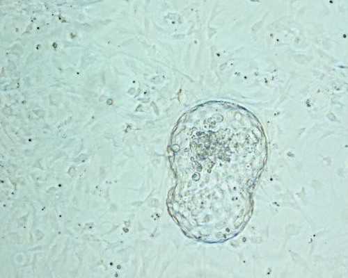 出售古玩交易平台,特别宠老婆的男命八字婚姻幸福