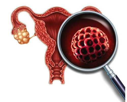 香港预约医院验血,香港验血50天查男女_预约香港鉴定性别需要什么流程