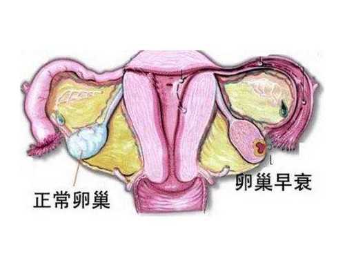 古玩生死局结局,摩羯座生日是几月