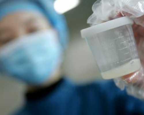 古玩珠子种类及图片,属马白羊座和属龙天秤座最配吗感情运势解析