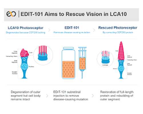 香港哪里可以验血查胎儿性别,豫健科普丨备孕期可以打新冠疫苗吗?男女双方