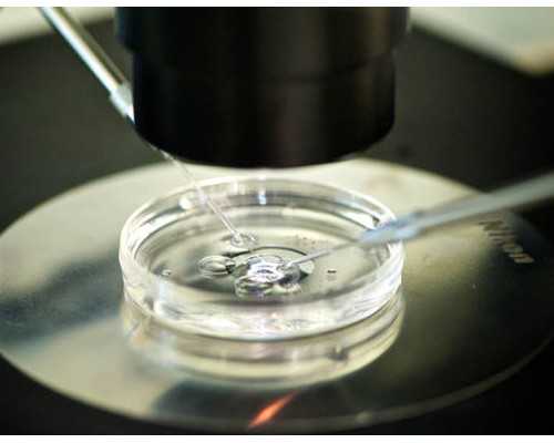 香港早孕验血性别鉴别准吗,来月经真的不会怀孕吗 经期同房就可以不避孕了吗