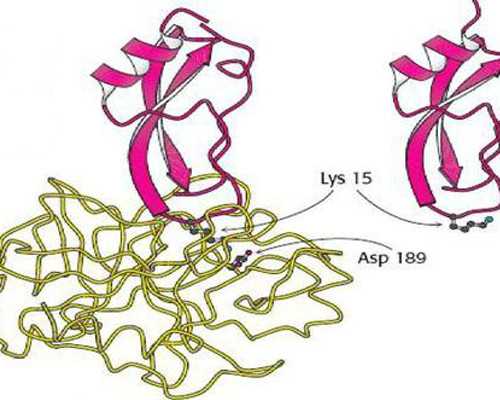 私人私下收购古玩古董,运动员如何预防半月板损伤