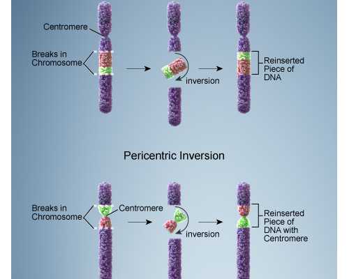 香港验血查男女疫情可以过海关吗,人工受孕和试管婴儿有什么不同
