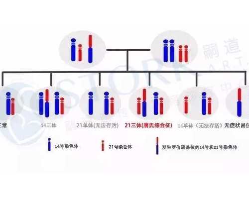 三次去香港验血都是女孩准吗,备孕女宝宝的吃什么好