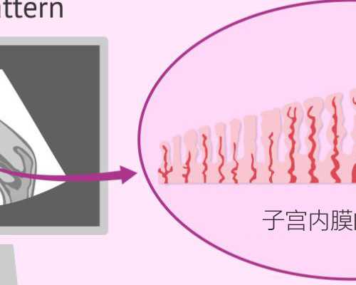 怀孕去香港验血几多费用,备孕可以用护肤品吗