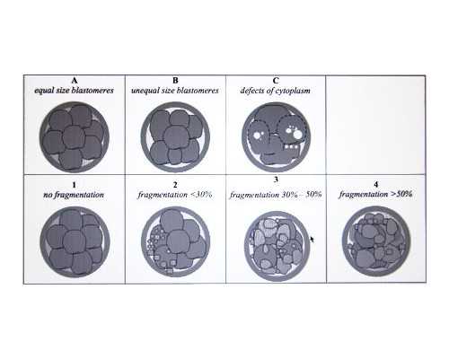 怀孕去香港验血的费用,女性不孕不育六大特征汇总，附不孕不育排查表一览
