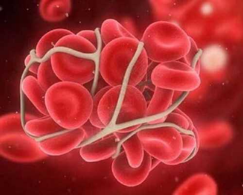 深圳香港验血中介_分享给大家你所不知道的事,香港验血检测费用