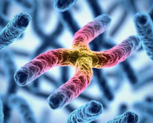 香港验血鉴别胎儿性别价格,备孕期间女性吃碱性食物有哪些