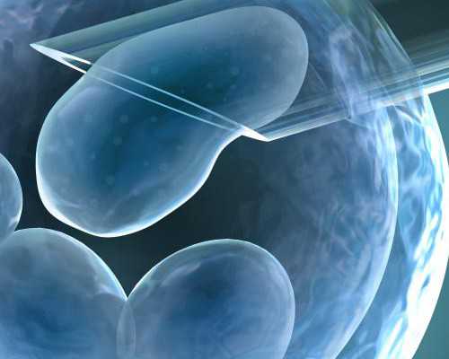 邯郸能预约邮寄香港验血吗_香港双胎男孩验血准不准_哪个验血机构最好!