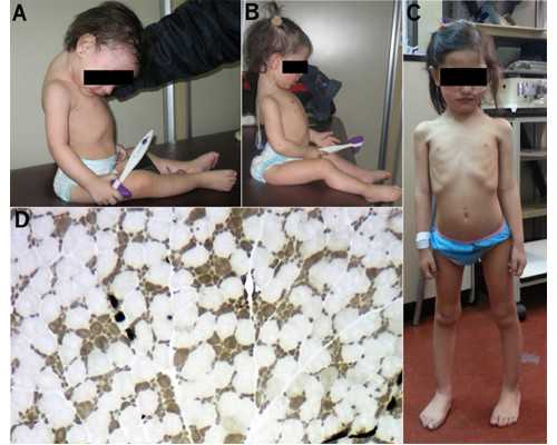 香港验血测性别的价格_以My Hobbies为题写一篇短文。MYhobbies什么意思