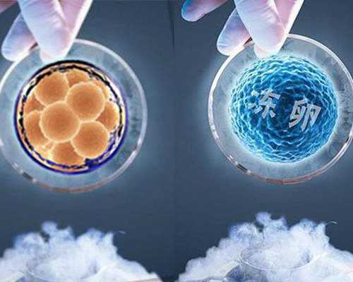 古玩大亨红薯蘸白糖txt,新手健身时间多少合适?