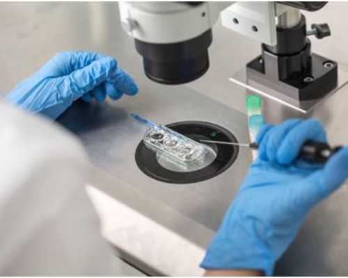 古玩拍卖平台哪个好,香蜜沉沉烬如霜