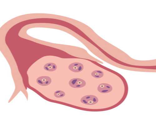 香港验血鉴定男女会出错吗,关于香港检测男女性别的最佳时期你真的知道吗?