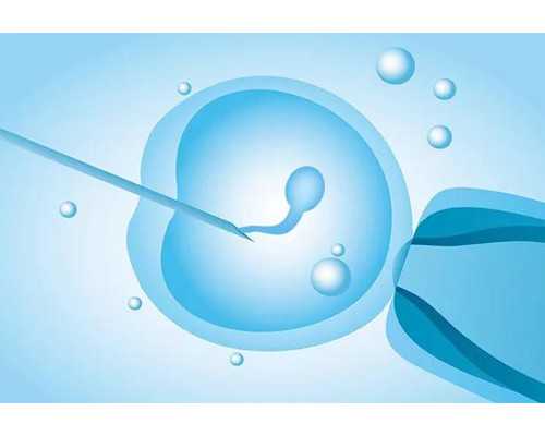 香港孕六周验血查男女准吗,香港验血多大不给验_刚测过的人来告诉你!