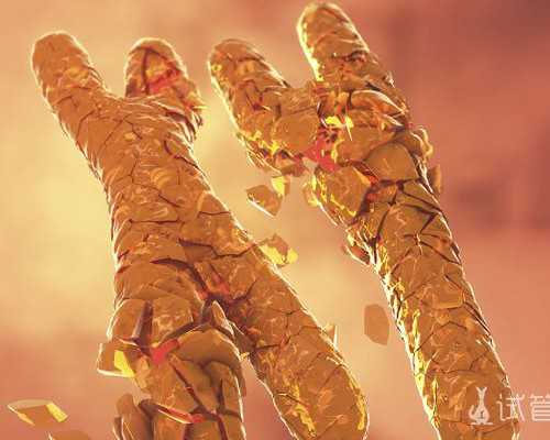 中华古玩网鉴定准确吗,爱情or“面包”，这些星座爱轻面包