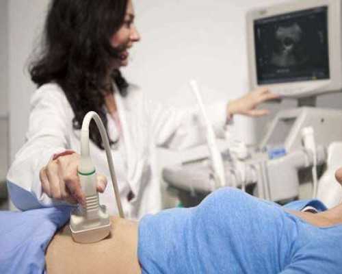 二个月香港验血男女准吗_八十天环游世界读后感《八十天环游地球》读后感