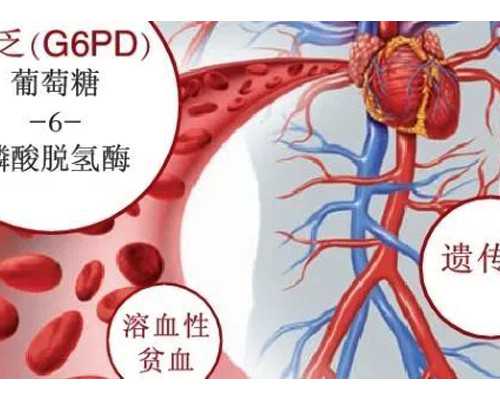 去香港验血价格 2000,做试管婴儿前月经不调会不会影响成功率？