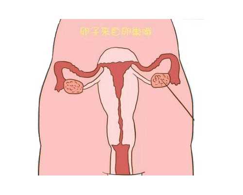 贵阳古玩鉴定钱币,辛丑日柱出生男女八字命运