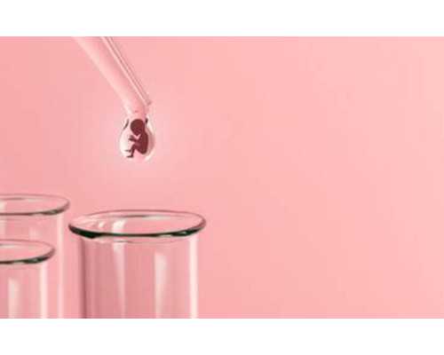 附近的古玩交易市场_台湾卤肉饭