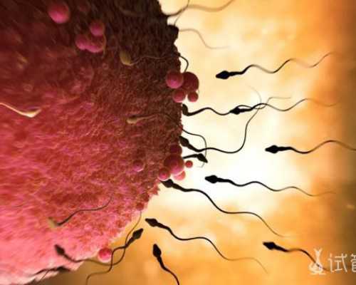 如何香港验血判断胎儿性别
 香港验血女宝有翻盘吗？让亲历者用事实来讲述真