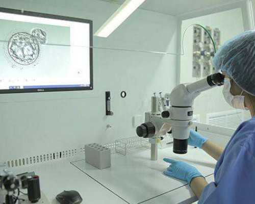 验血看男女一定要去香港吗,半年内流产香港验血查性别_dna胎儿性别是骗人的吗