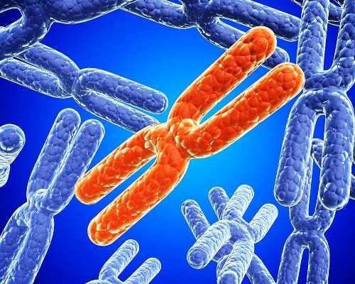 香港哪家正规验血准,熟人b超女孩生下来男孩?告诉你香港验血是不是骗局