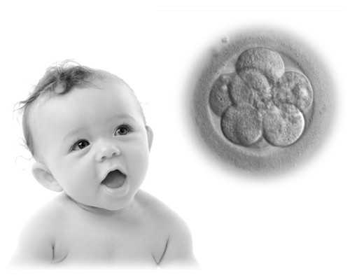 香港大z医疗验血准吗,正在备孕的女性如何接种新冠疫苗?国内外生殖专家是如