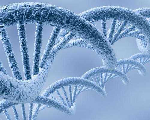胎儿性别验血验哪里的
 香港验血双胞胎结果_作为孩子父母选择好的商家,有香