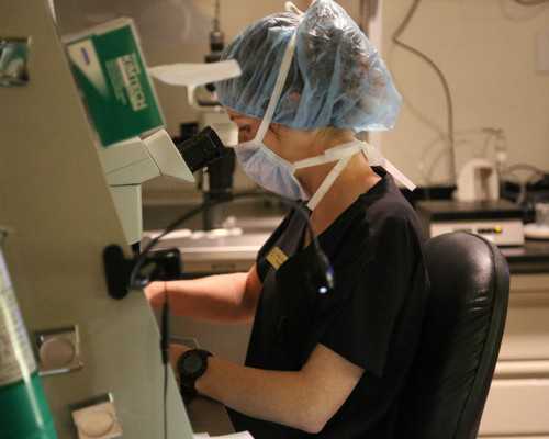 香港验血网站怎么查询,泰国试管具体流程：人授失败多次泰国试管一次好孕个