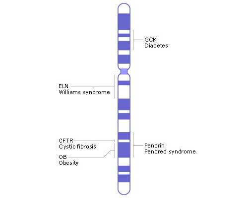 三胎香港验血男孩准吗,备孕几年没动静,为什么领养/试管之后,却自然怀孕了
