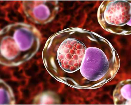 厦门有家中介验血寄到香港准不准,孕45天到香港能验男女吗_胎儿性别鉴定会不