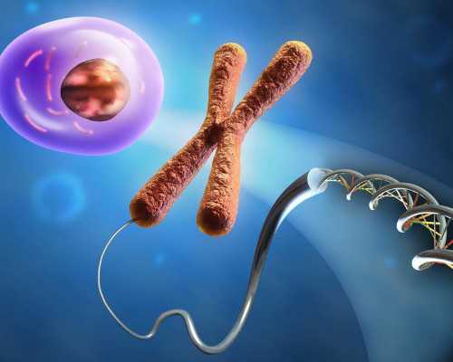 古玩虫免费全集在线,过午不食会瘦吗