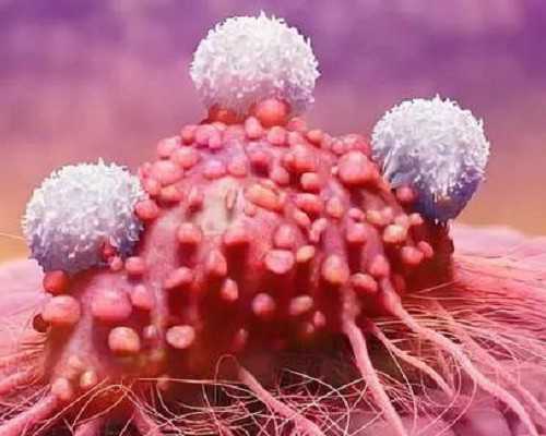 香港国际机场到孕妇验血,香港八周验血知男女_检测性别会不会是骗人的