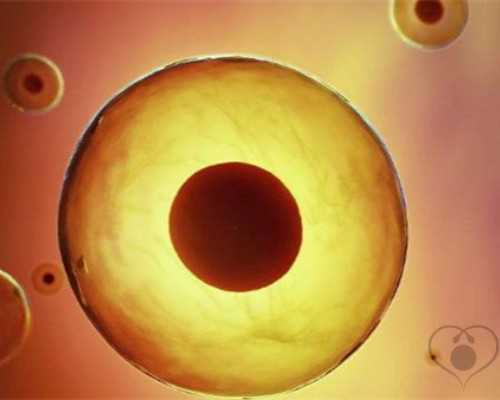 香港验血怀孕几天_香港查男女需要什么_ 验血翻盘女翻男吗