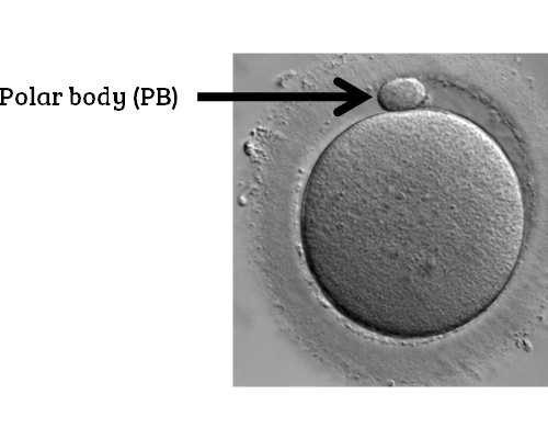香港验血全显示d
 向佐没陪郭碧婷待产？回应来了,香港裕力预约验血