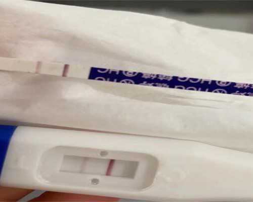 古玩指南大全集txt下载,甜甜的糖烤板栗