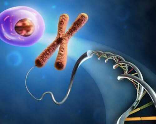 李成儒古玩虫2全集优酷,2014下半年最容易脱单星座