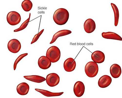深圳私人收购古玩联系方式,红糖梅醋泡姜，紫苏姜