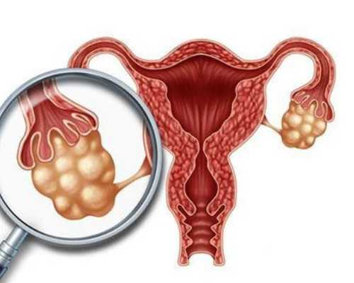 淘宝上香港验血的准吗,什么是试管婴儿过程?试管婴儿的步骤