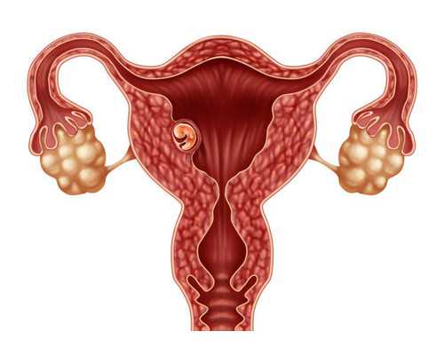 必看的10部古玩电视剧,二月份做的乳腺癌切除手术，切除右边全部乳