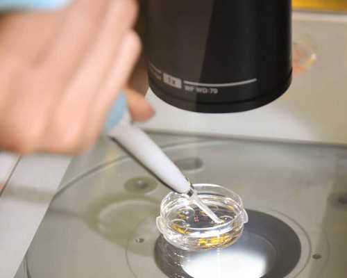 香港官网上验血报告保存多久,女方输卵管堵塞还能做试管婴儿吗？