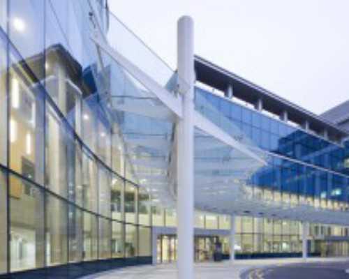 香港验血男女哪家机构比较好,经期吃什么水果丰胸